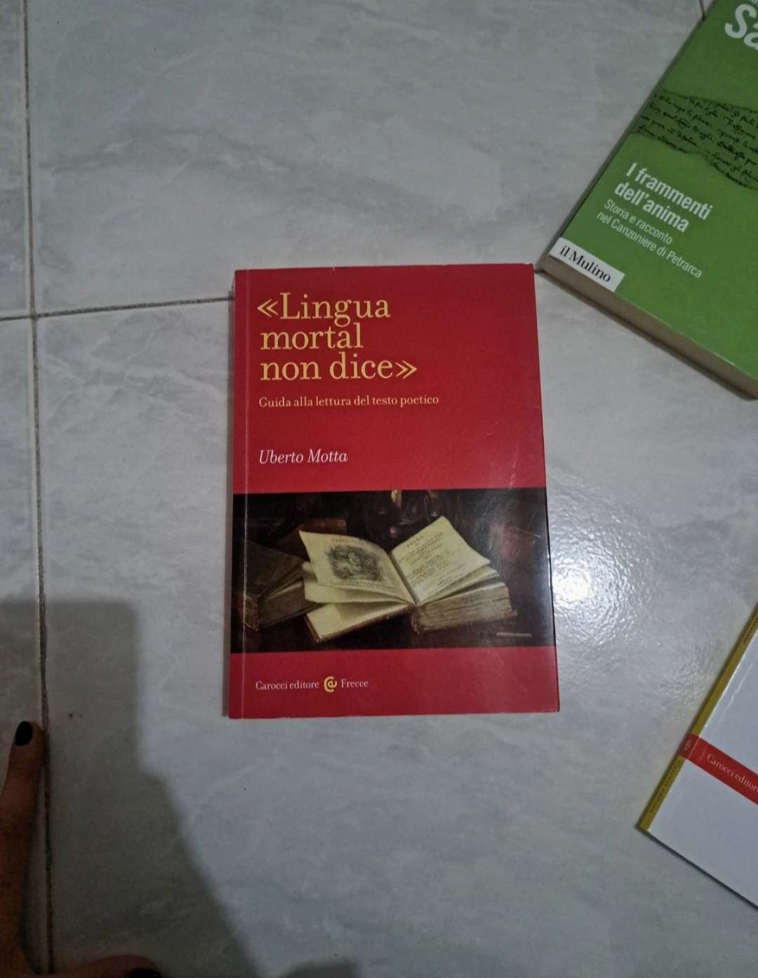 Lingua mortal non dice
