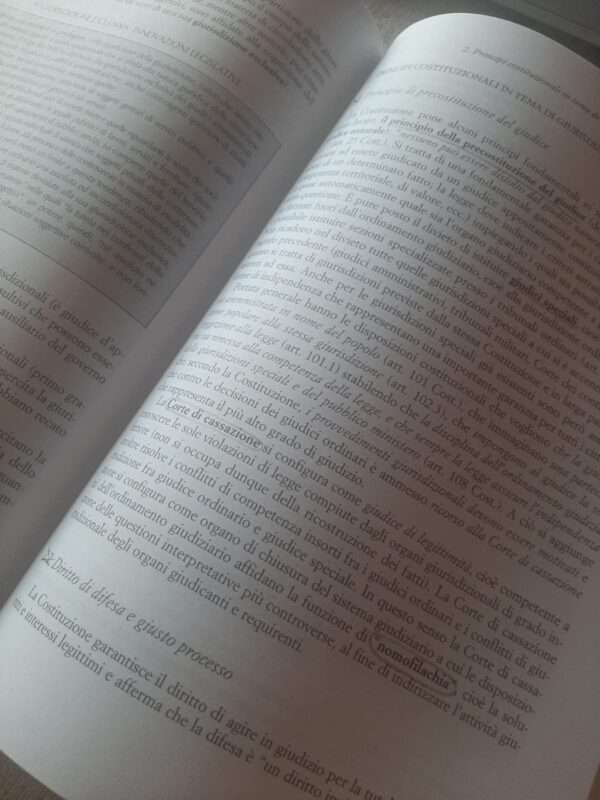 diritto costituzionale - immagine 3