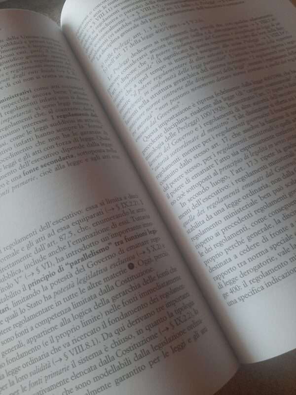diritto costituzionale - immagine 4