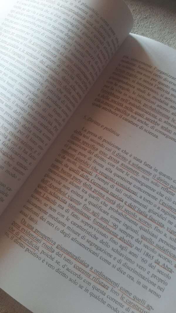 DIRITTO, DIRITTI E GARANZIE NELLO STATO COSTITUZIONALE - immagine 4