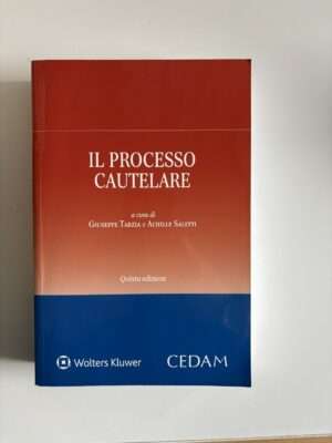 il processo cautelare