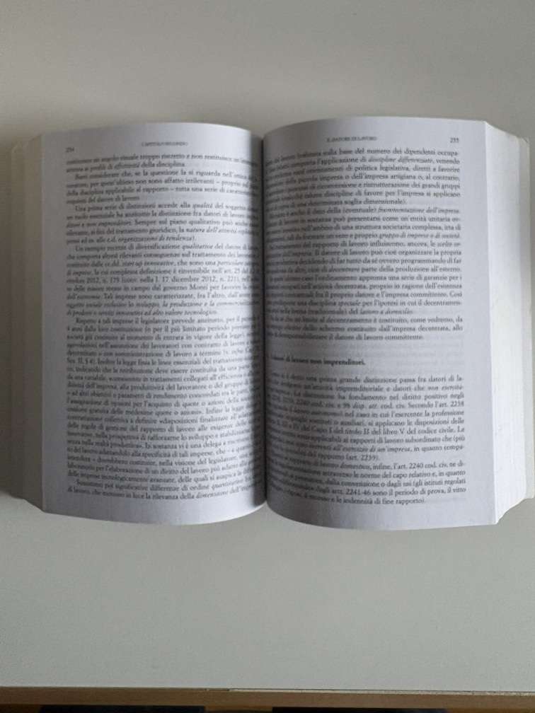 Manuale di diritto del lavoro - immagine 3