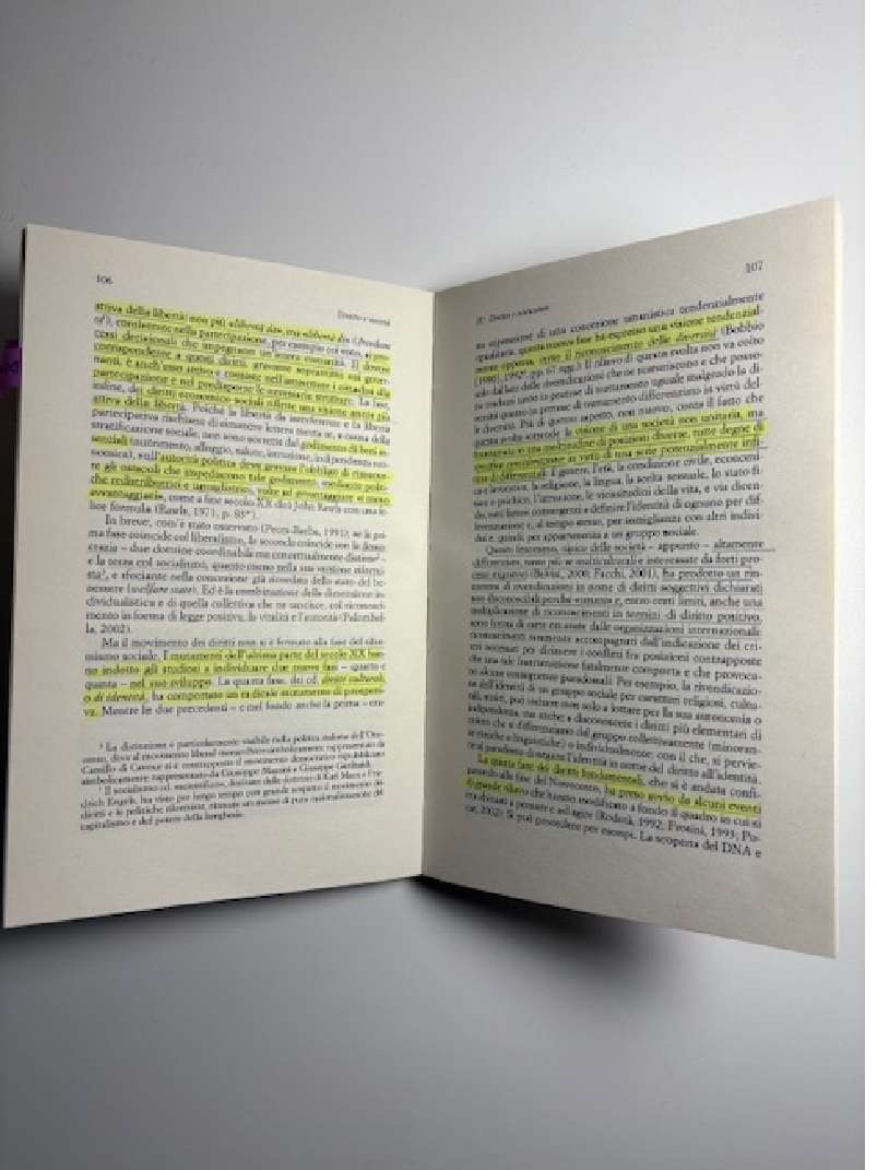 diritto e societa' - immagine 3