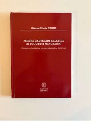 misure cautelari relative ai soggetti minorenni