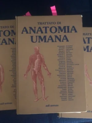 Trattato Anatomia Umana Anastasi