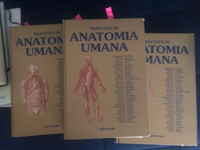 Trattato Anatomia Umana Anastasi
