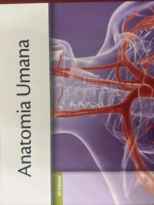 anatomia umana