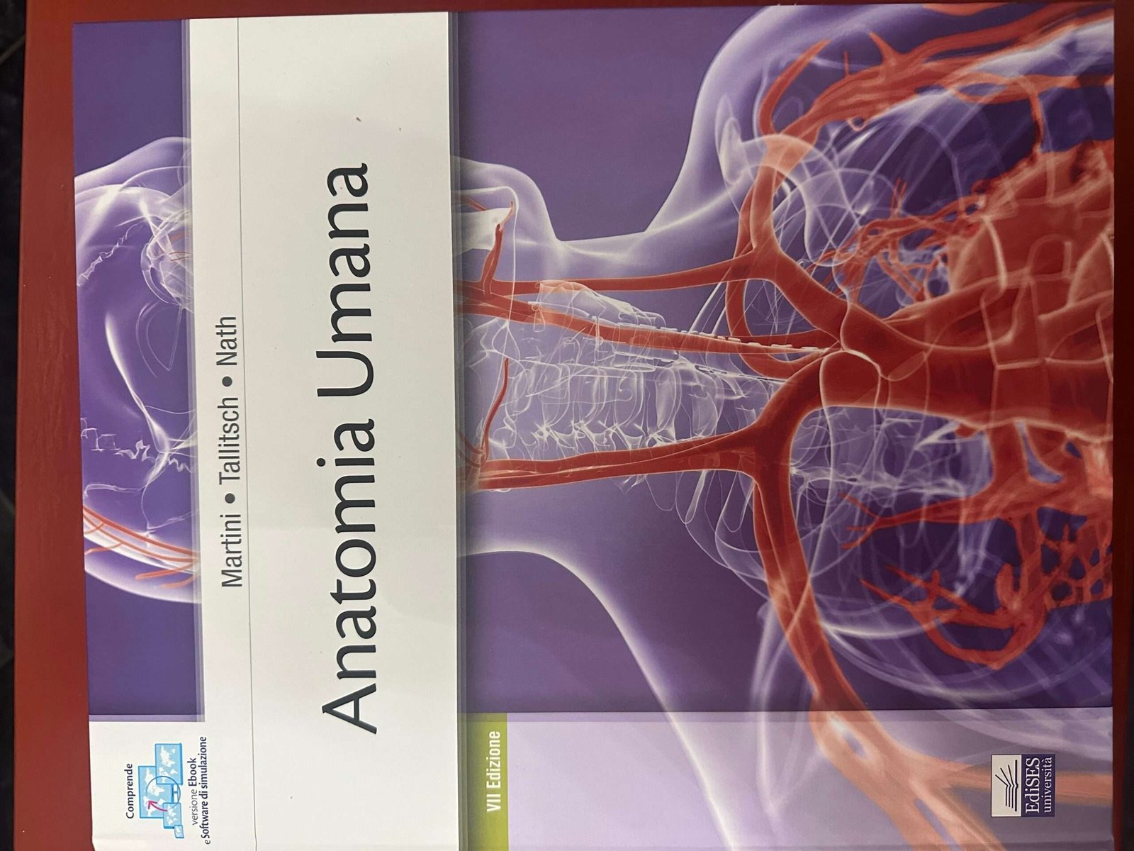 anatomia umana