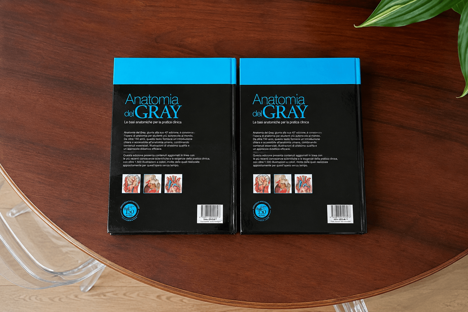 Anatomia del Gray 40°edizione, 2 volumi perfetti - immagine 4