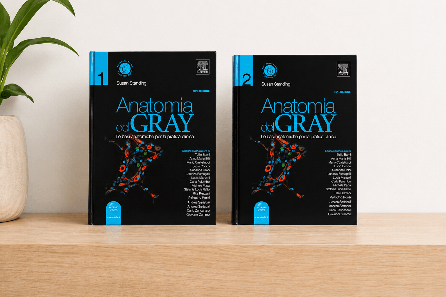 Anatomia del Gray 40°edizione, 2 volumi perfetti