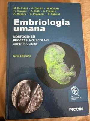 embriologia umana